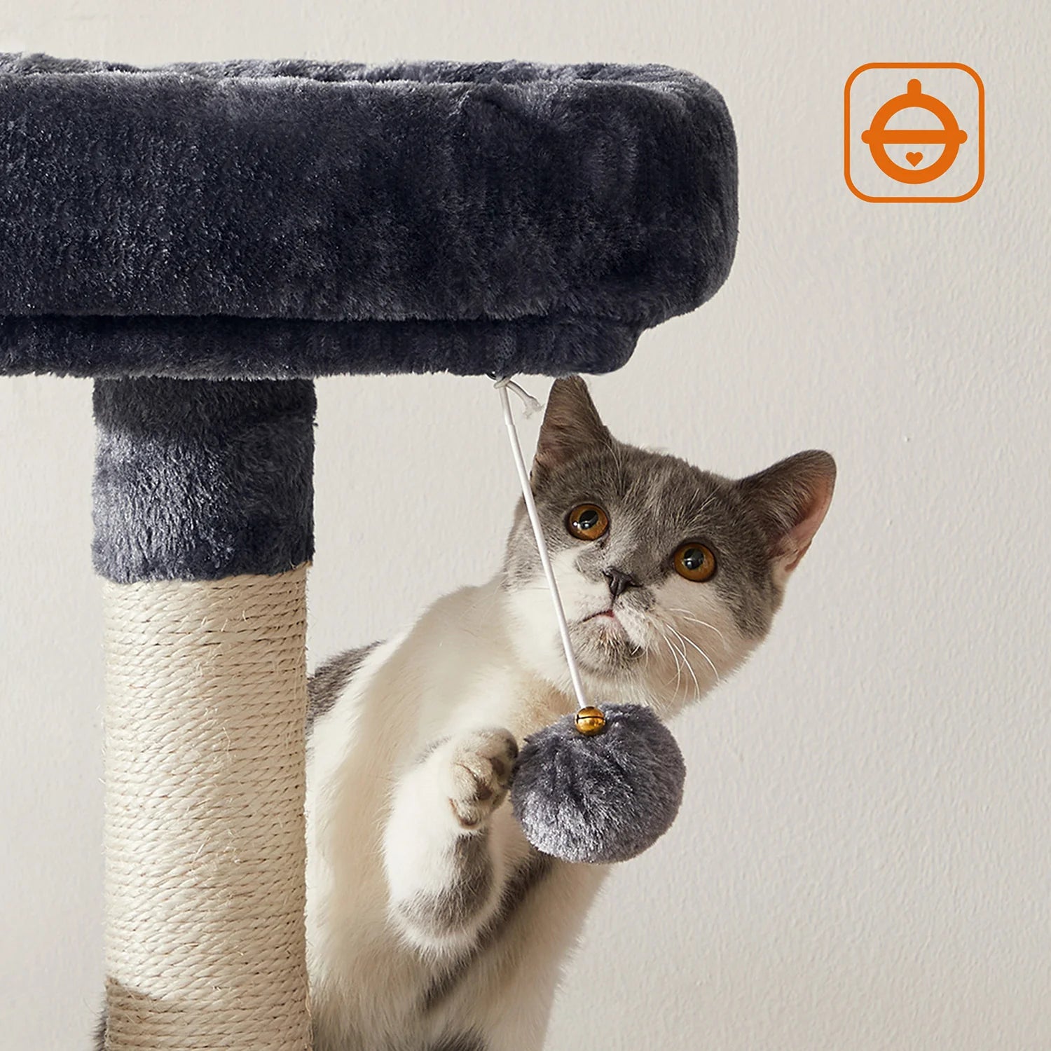Cat Towers: Creating the Perfect Feline Playground